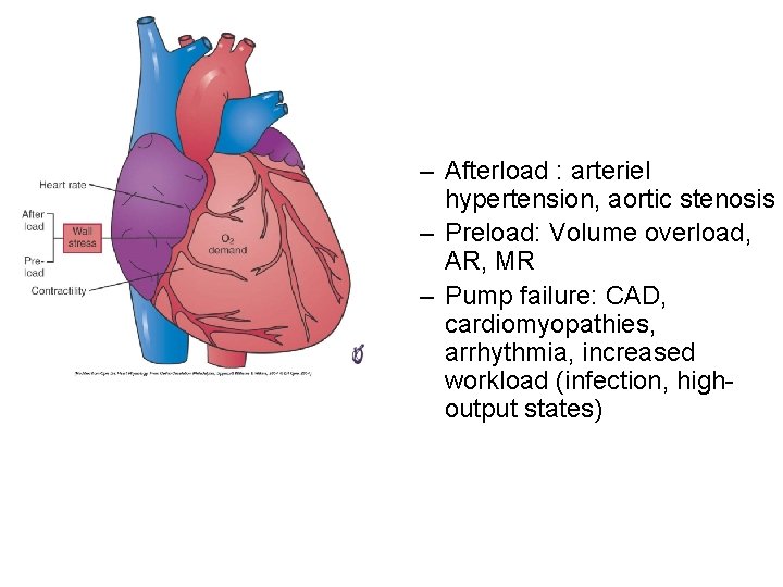 – Afterload : arteriel hypertension, aortic stenosis – Preload: Volume overload, AR, MR –