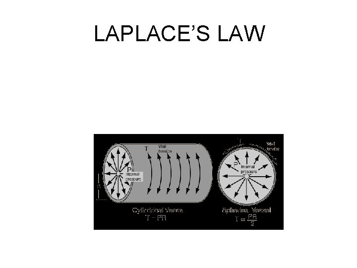 LAPLACE’S LAW 