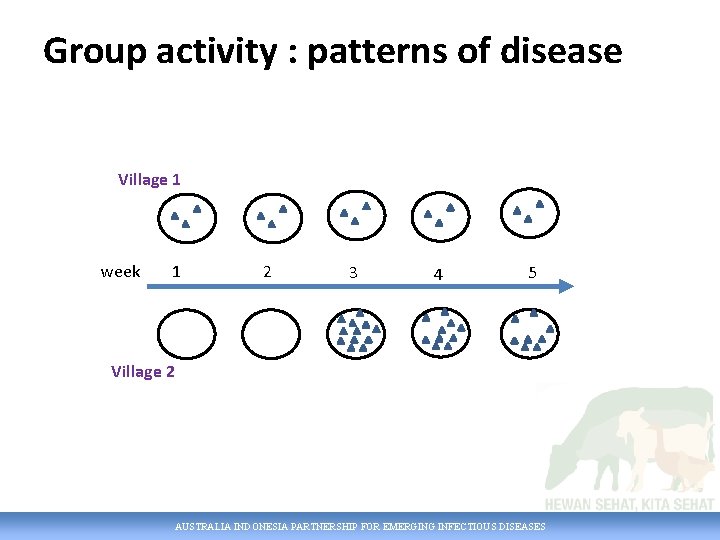 Group activity : patterns of disease Village 1 week 1 2 3 4 5