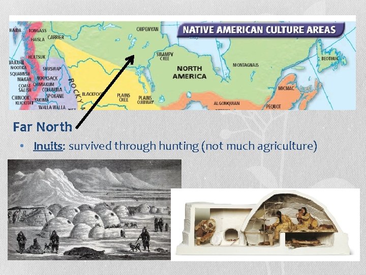 Far North • Inuits: survived through hunting (not much agriculture) 