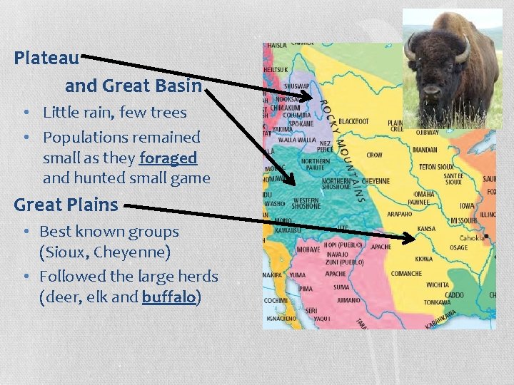 Plateau and Great Basin • Little rain, few trees • Populations remained small as