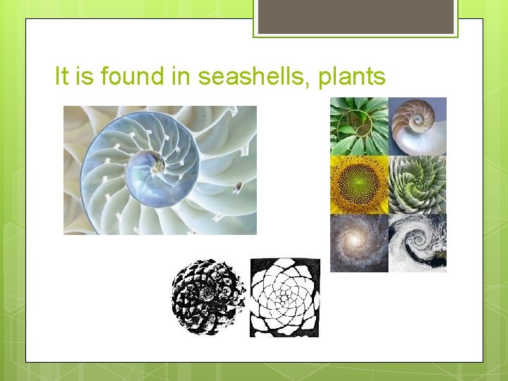 It is found in seashells, plants 