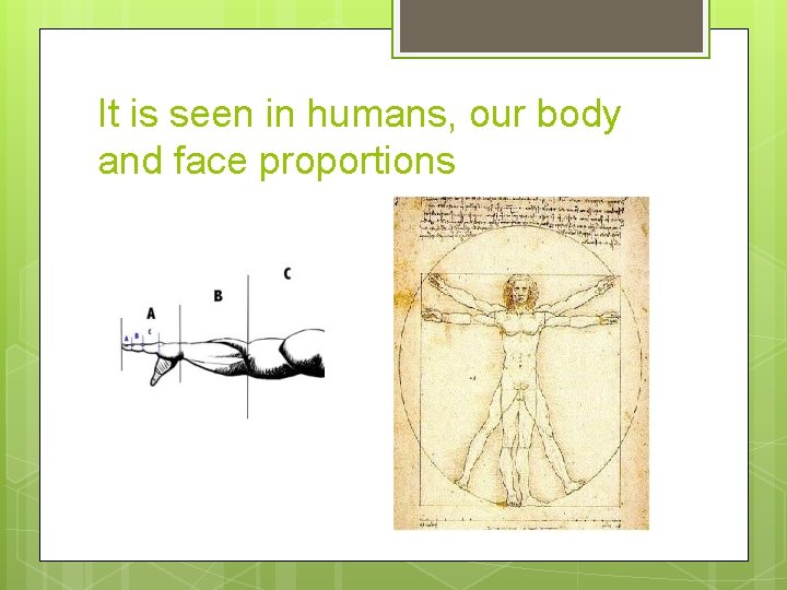 It is seen in humans, our body and face proportions 