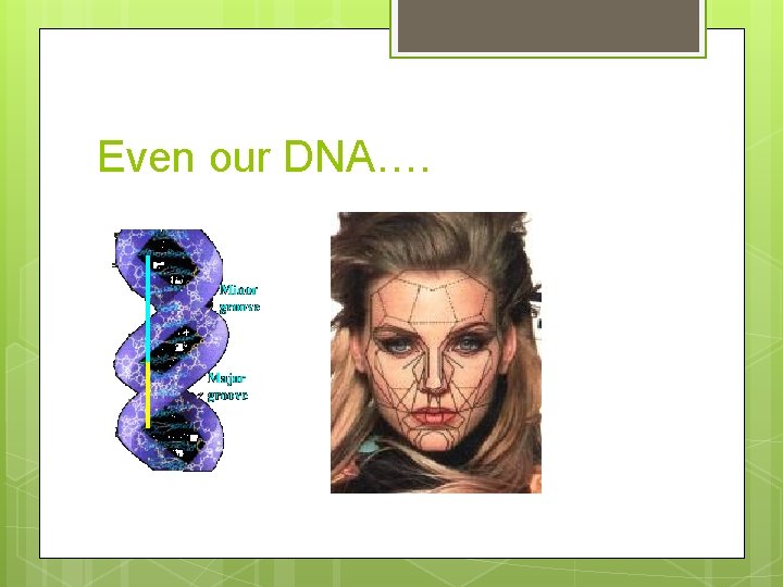 Even our DNA…. 