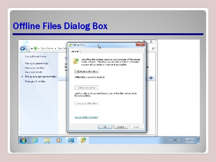 Offline Files Dialog Box Offline Files Dialog Box