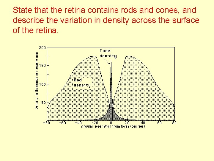 The eye and sight Describe the basic structure