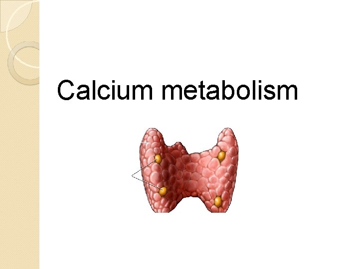 Calcium metabolism 