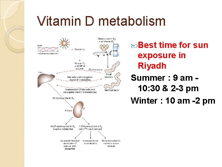 Vitamin D metabolism Best time for sun exposure in Riyadh Summer : 9 am