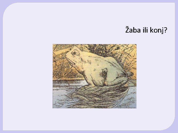 Žaba ili konj? Žaba ili konj?