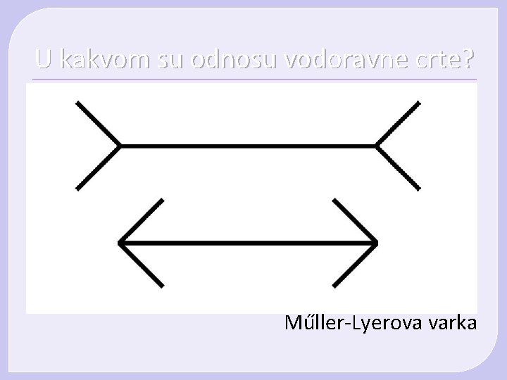 U kakvom su odnosu vodoravne crte? Műller-Lyerova varka U kakvom su odnosu vodoravne crte? Műller-Lyerova varka