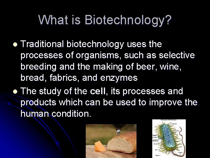 What is Biotechnology? Traditional biotechnology uses the processes of organisms, such as selective breeding What is Biotechnology? Traditional biotechnology uses the processes of organisms, such as selective breeding