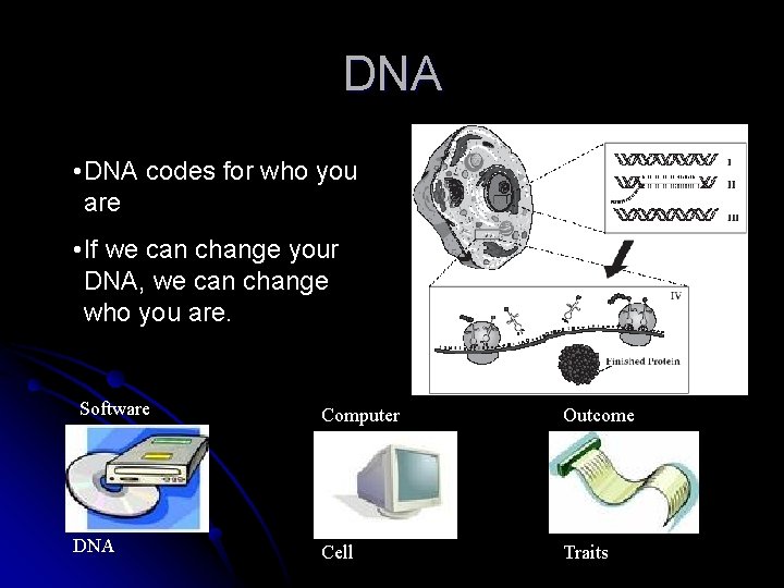 DNA • DNA codes for who you are • If we can change your DNA • DNA codes for who you are • If we can change your