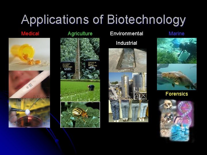Applications of Biotechnology Medical Agriculture Environmental Marine Industrial Forensics Applications of Biotechnology Medical Agriculture Environmental Marine Industrial Forensics