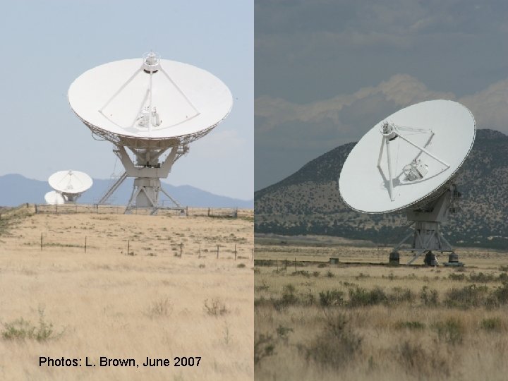 Photos: L. Brown, June 2007  Photos: L. Brown, June 2007