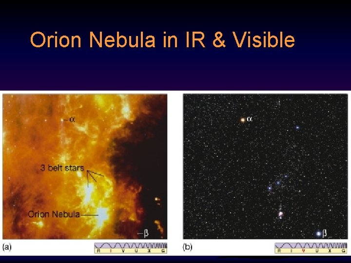 Orion Nebula in IR & Visible 