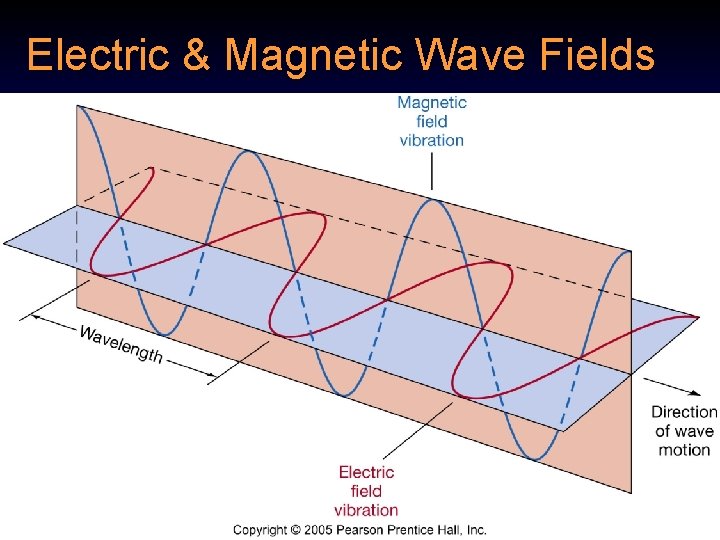 Electric & Magnetic Wave Fields  Electric & Magnetic Wave Fields