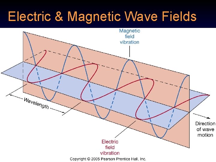 Electric & Magnetic Wave Fields 