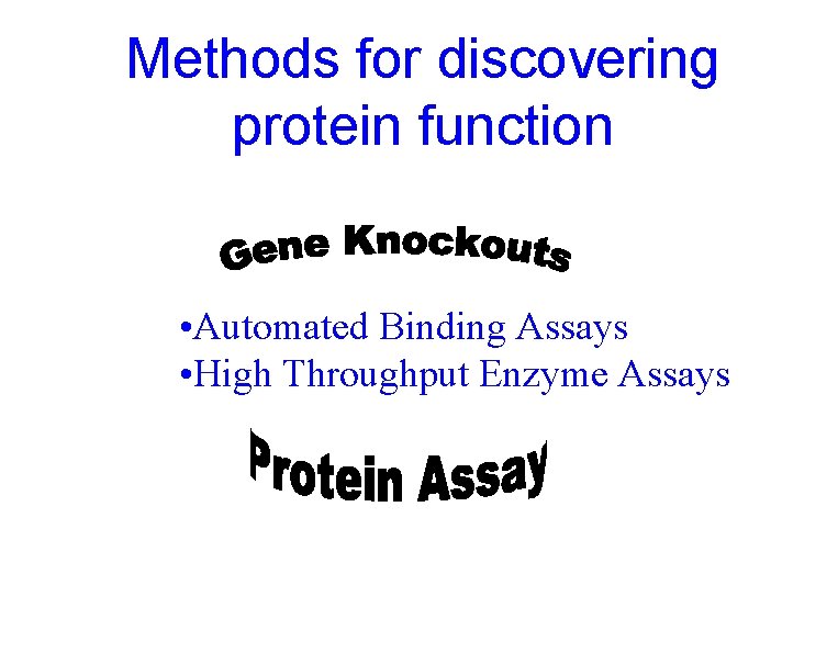 Methods for discovering protein function • Automated Binding Assays • High Throughput Enzyme Assays