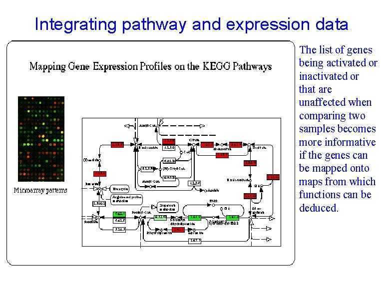 Integrating pathway and expression data The list of genes being activated or inactivated or