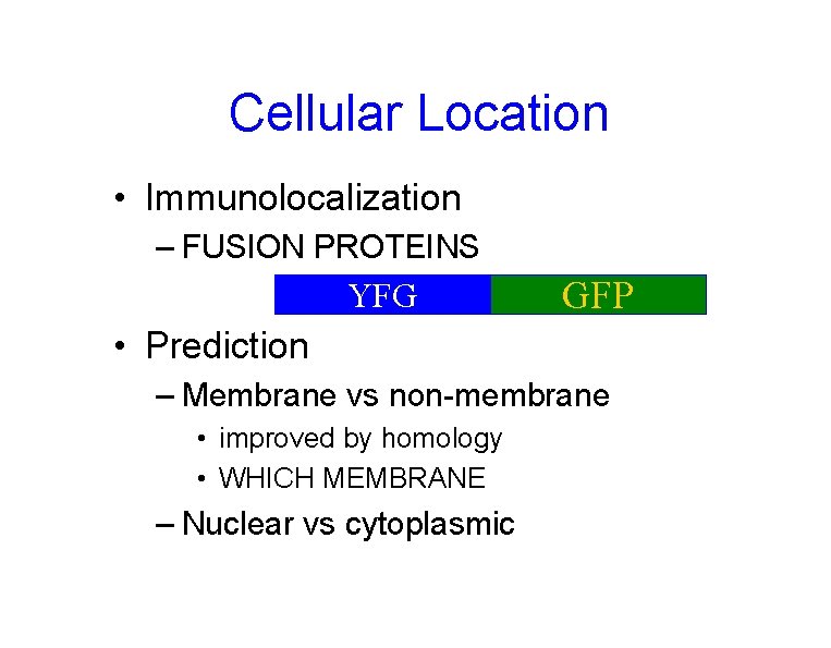 Cellular Location • Immunolocalization – FUSION PROTEINS YFG GFP • Prediction – Membrane vs