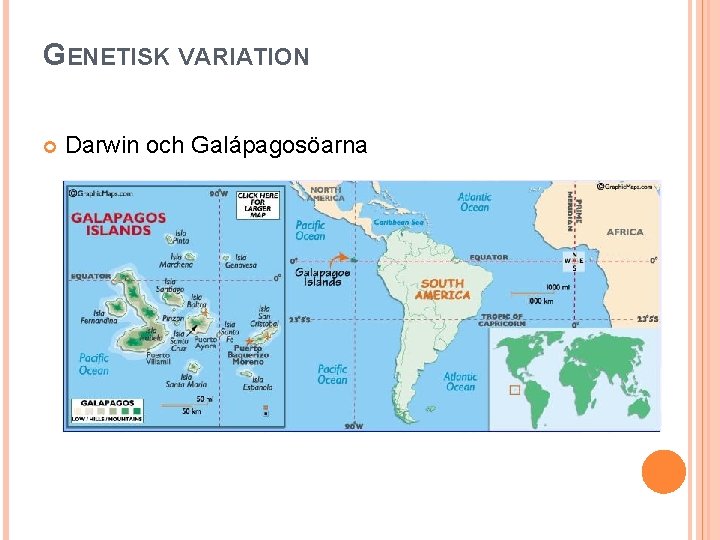 GENETISK VARIATION Darwin och Galápagosöarna 