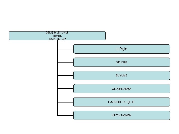 GELİŞİMLE İLGİLİ TEMEL KAVRAMLAR DEĞİŞİM GELİŞİM BÜYÜME OLGUNLAŞMA HAZIRBULUNUŞLUK KRİTİK DÖNEM 
