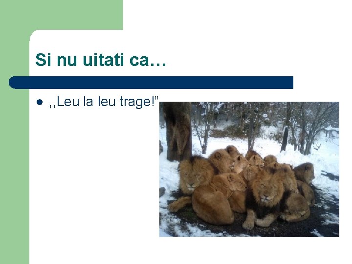 Si nu uitati ca… l , , Leu la leu trage!” 