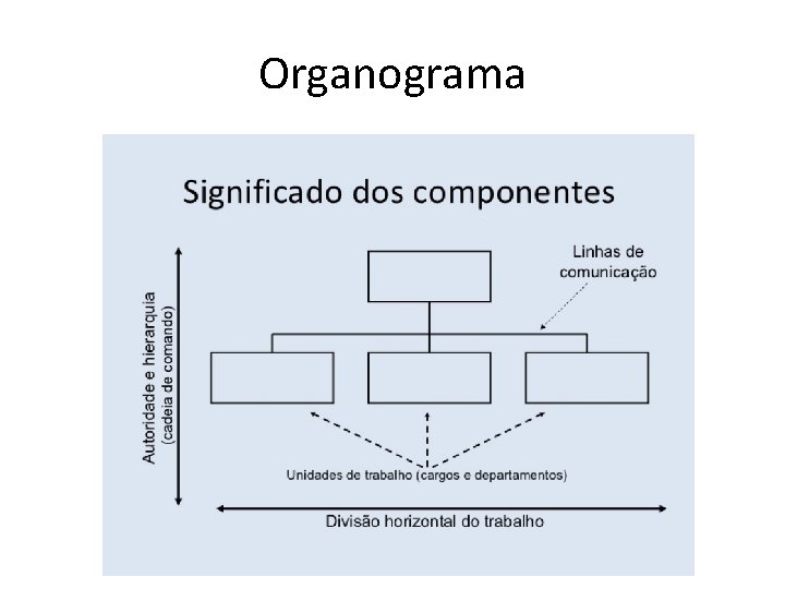 Organograma 