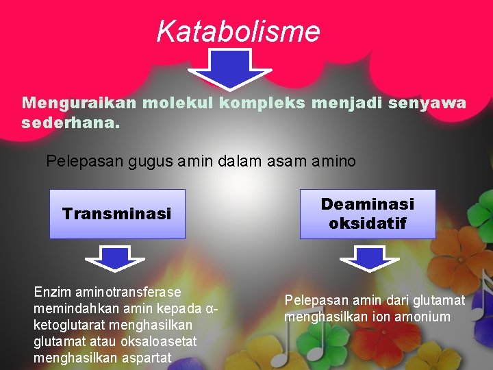 Katabolisme Menguraikan molekul kompleks menjadi senyawa sederhana. Pelepasan gugus amin dalam asam amino Transminasi