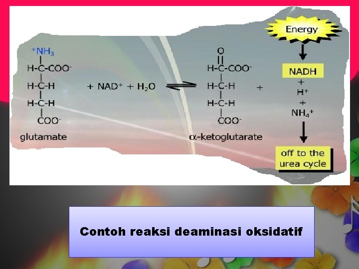 Contoh reaksi deaminasi oksidatif 