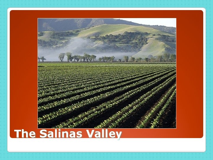 The Salinas Valley 