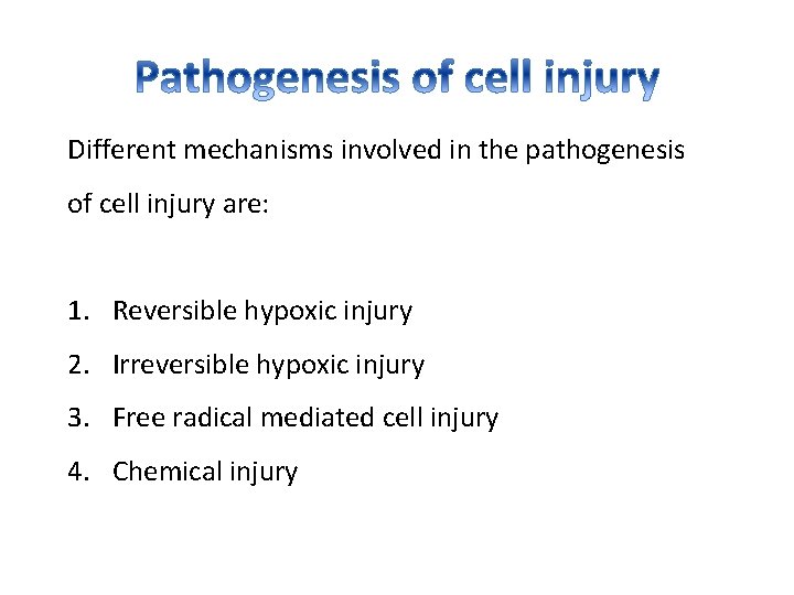 Different mechanisms involved in the pathogenesis of cell injury are: 1. Reversible hypoxic injury