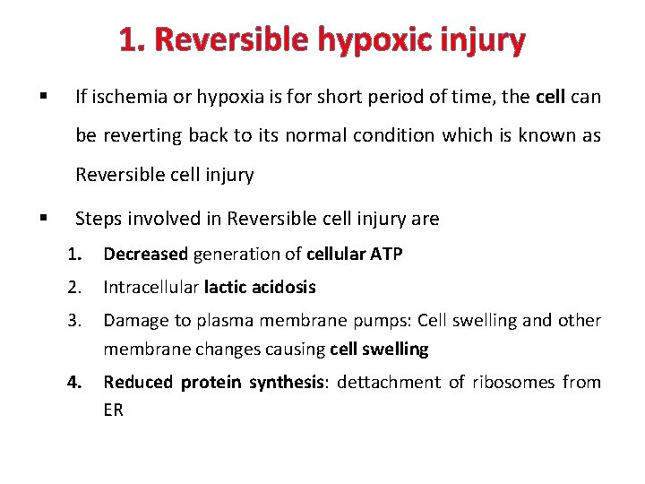 1. Reversible hypoxic injury § If ischemia or hypoxia is for short period of
