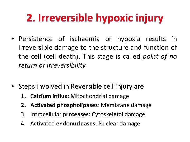 2. Irreversible hypoxic injury • Persistence of ischaemia or hypoxia results in irreversible damage