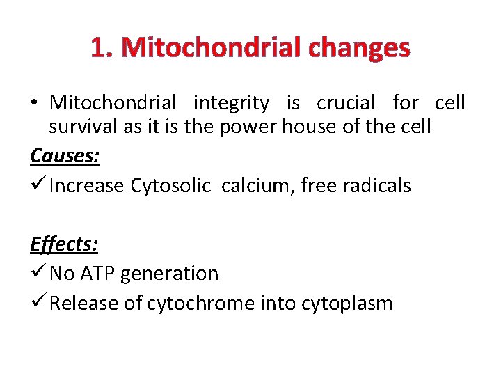 1. Mitochondrial changes • Mitochondrial integrity is crucial for cell survival as it is