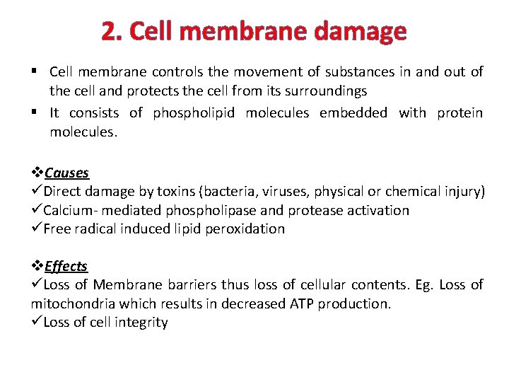 2. Cell membrane damage § Cell membrane controls the movement of substances in and