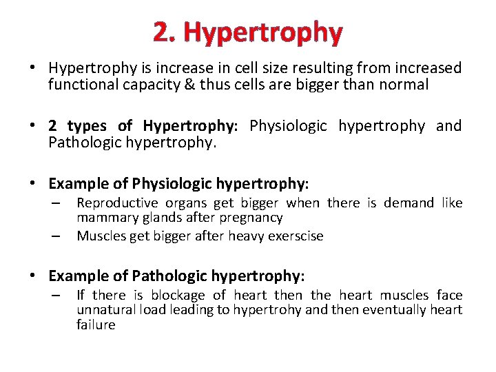 2. Hypertrophy • Hypertrophy is increase in cell size resulting from increased functional capacity