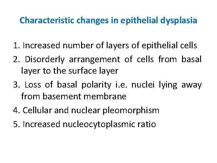 Characteristic changes in epithelial dysplasia 1. Increased number of layers of epithelial cells 2.