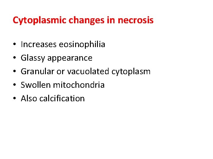 Cytoplasmic changes in necrosis • • • Increases eosinophilia Glassy appearance Granular or vacuolated