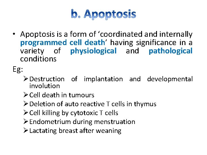  • Apoptosis is a form of ‘coordinated and internally programmed cell death’ having