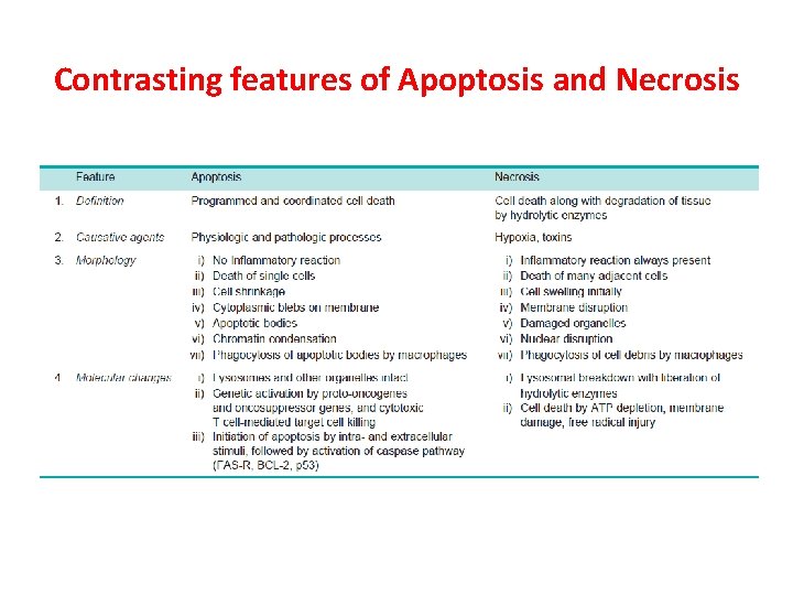 Contrasting features of Apoptosis and Necrosis 