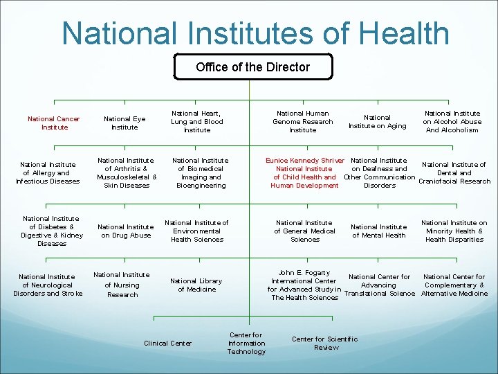 National Institutes of Health Office of the Director National Cancer Institute National Institute of