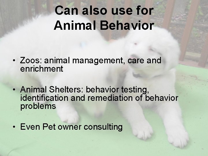 Can also use for Animal Behavior • Zoos: animal management, care and enrichment •