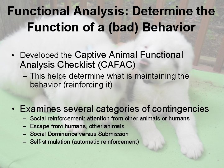 Functional Analysis: Determine the Function of a (bad) Behavior • Developed the Captive Animal