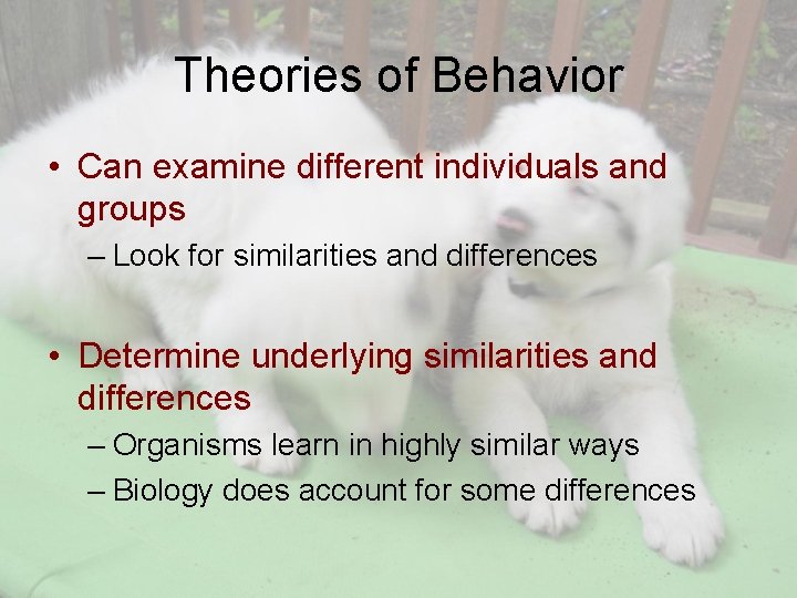 Theories of Behavior • Can examine different individuals and groups – Look for similarities
