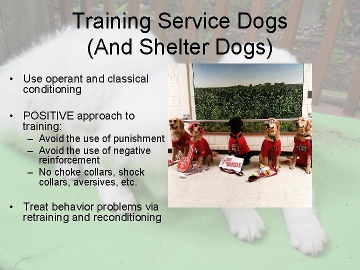 Training Service Dogs (And Shelter Dogs) • Use operant and classical conditioning • POSITIVE
