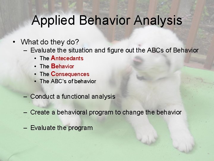 Applied Behavior Analysis • What do they do? – Evaluate the situation and figure