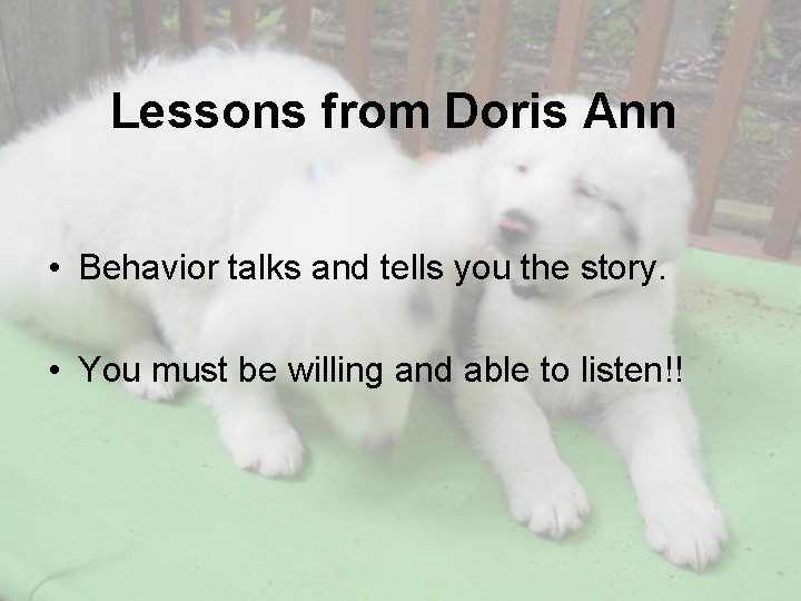 Lessons from Doris Ann • Behavior talks and tells you the story. • You