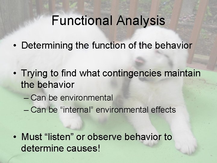 Functional Analysis • Determining the function of the behavior • Trying to find what