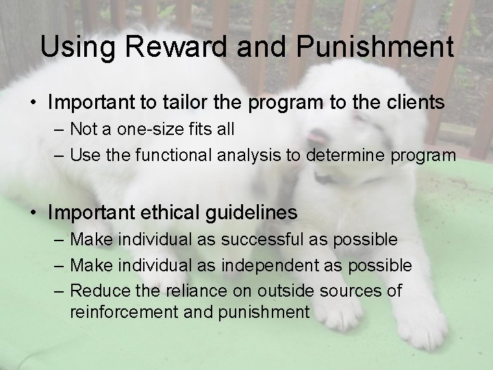 Using Reward and Punishment • Important to tailor the program to the clients –